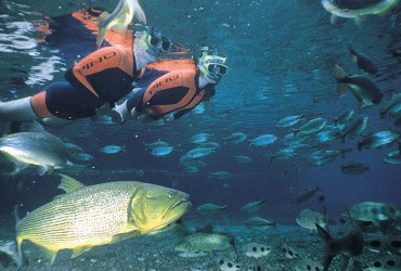 Bonito - Brazil eco-tourism